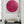 Portal Pink 2
